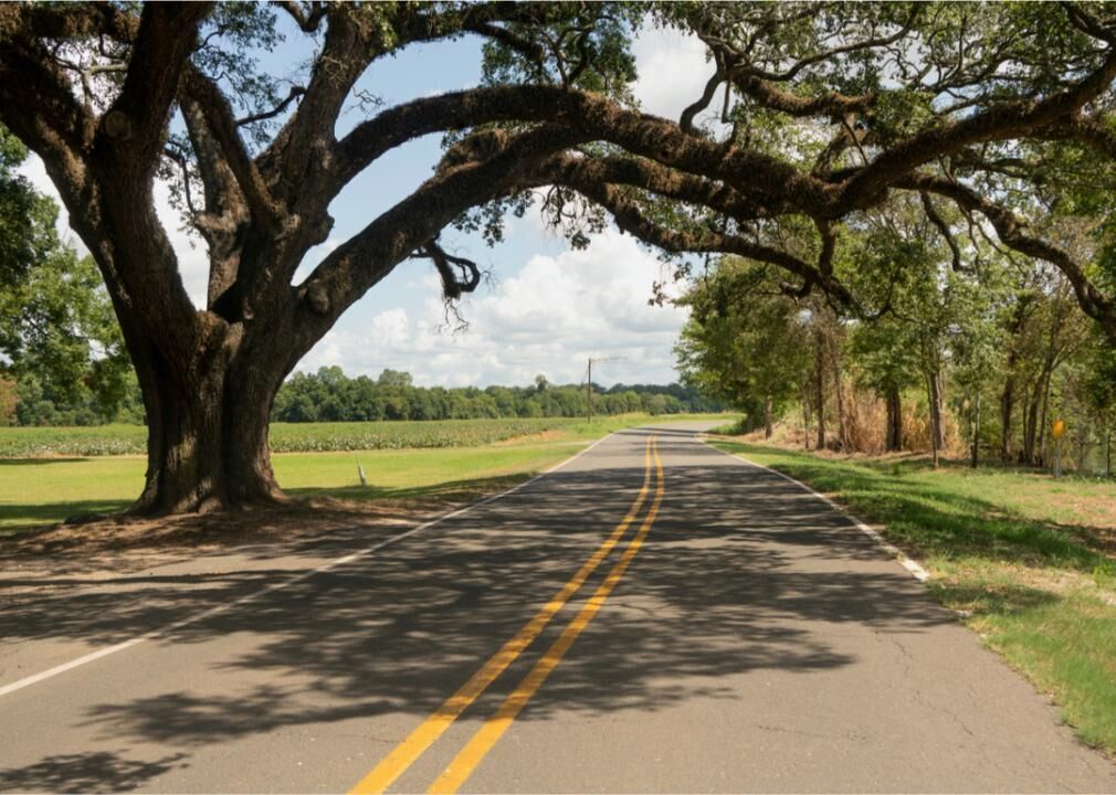 #13. Louisiana